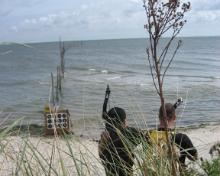 Texel (49)