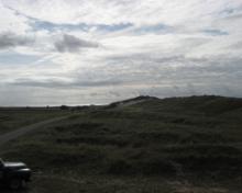 Texel (7)