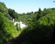 Trier (19)