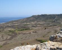 Gozo - sept 2008 037