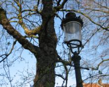 2009-03-20 - Brugge 048