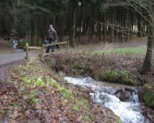 Sauerland 26-12_31