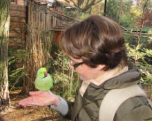 Dierenpark A'foort 03