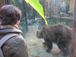 Dierenpark Amersfoort
