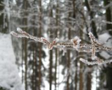 Winterberg_018
